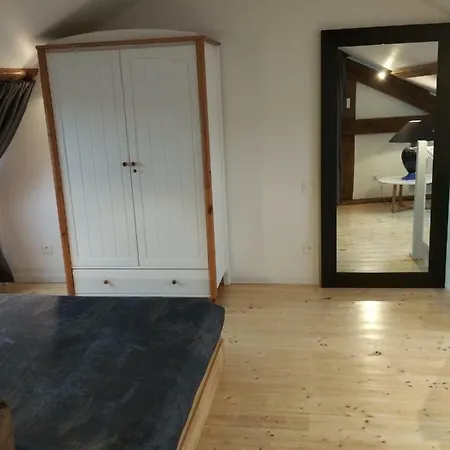 Appartamento Loft Zola Digione